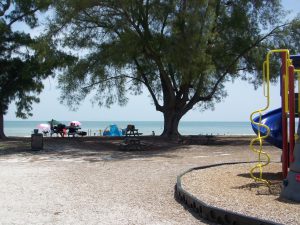 Bayfront park island real estate dog park 